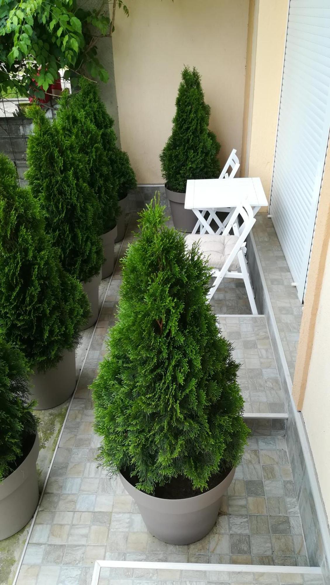 M4U Apartments Ni Εξωτερικό φωτογραφία