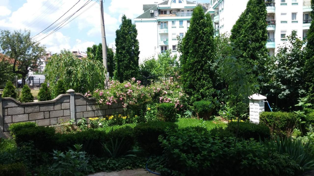 M4U Apartments Ni Εξωτερικό φωτογραφία