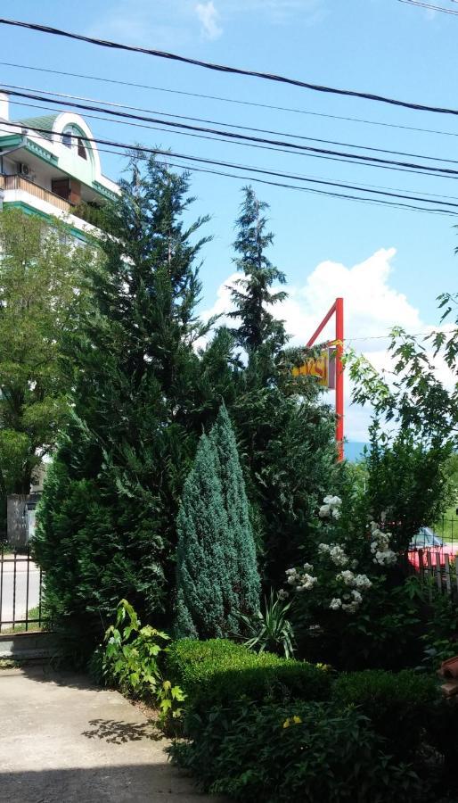 M4U Apartments Ni Εξωτερικό φωτογραφία