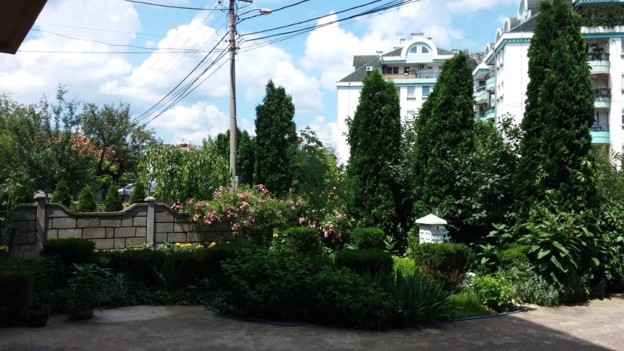 M4U Apartments Ni Εξωτερικό φωτογραφία